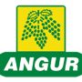 Angur